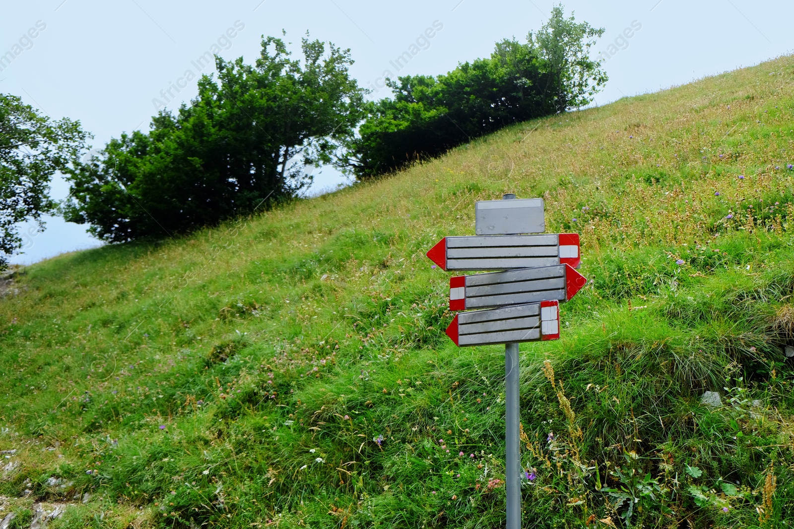 Photo of Signpost with directions near green grass on mountain, space for text