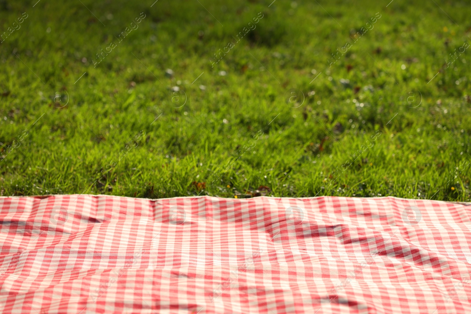 Checkered picnic tablecloth on green grass, closeup. Space for text Photo of Checkered picnic tablecloth on green grass, closeup. Space for text