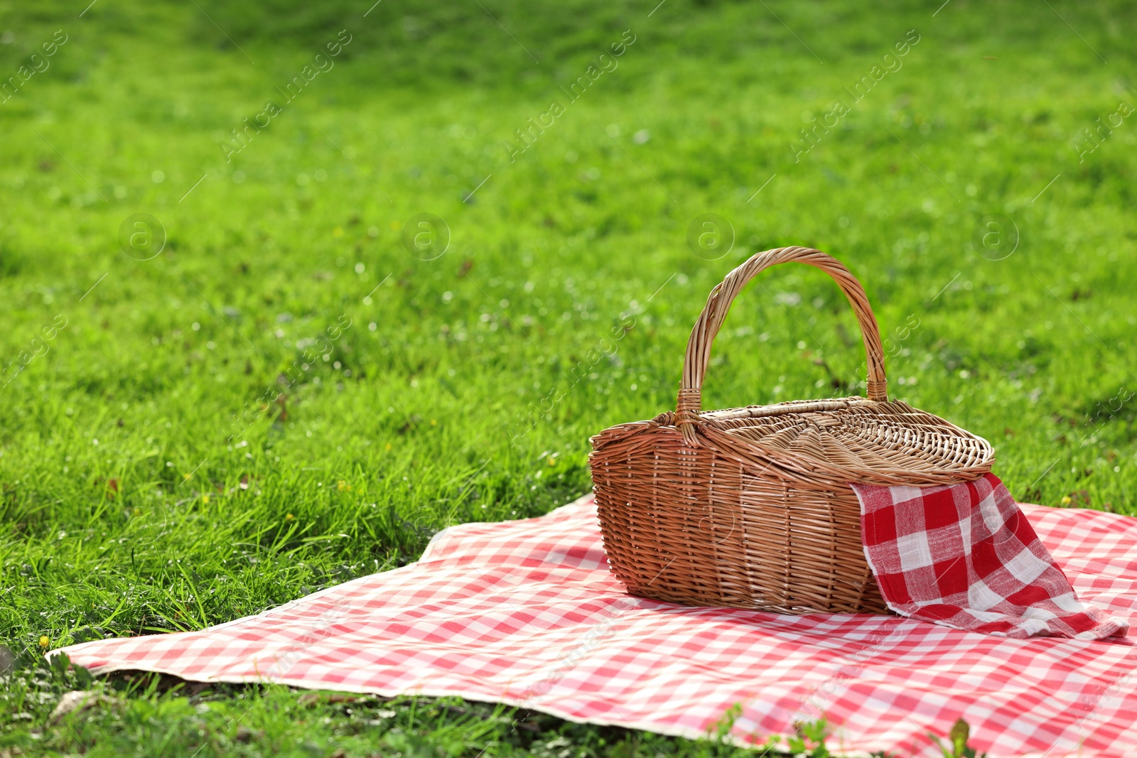 Photo of One picnic wicker basket with checkered napkin and blanket on green grass. Space for text