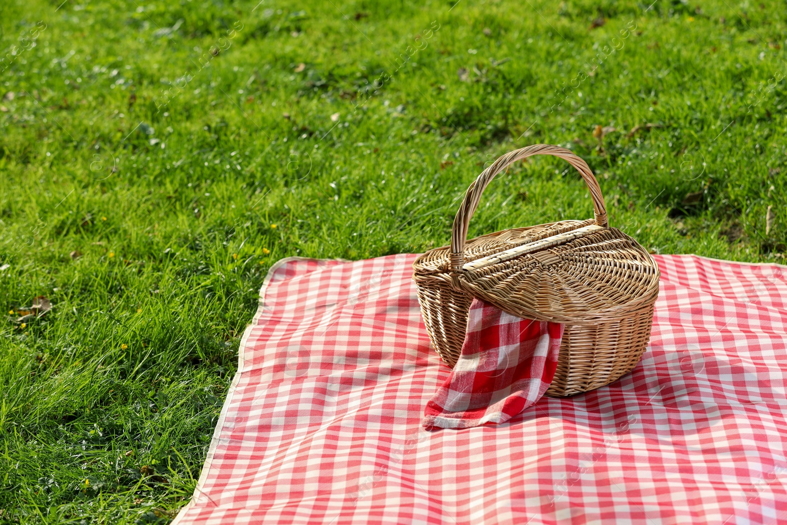 Photo of One picnic wicker basket with checkered napkin and blanket on green grass. Space for text