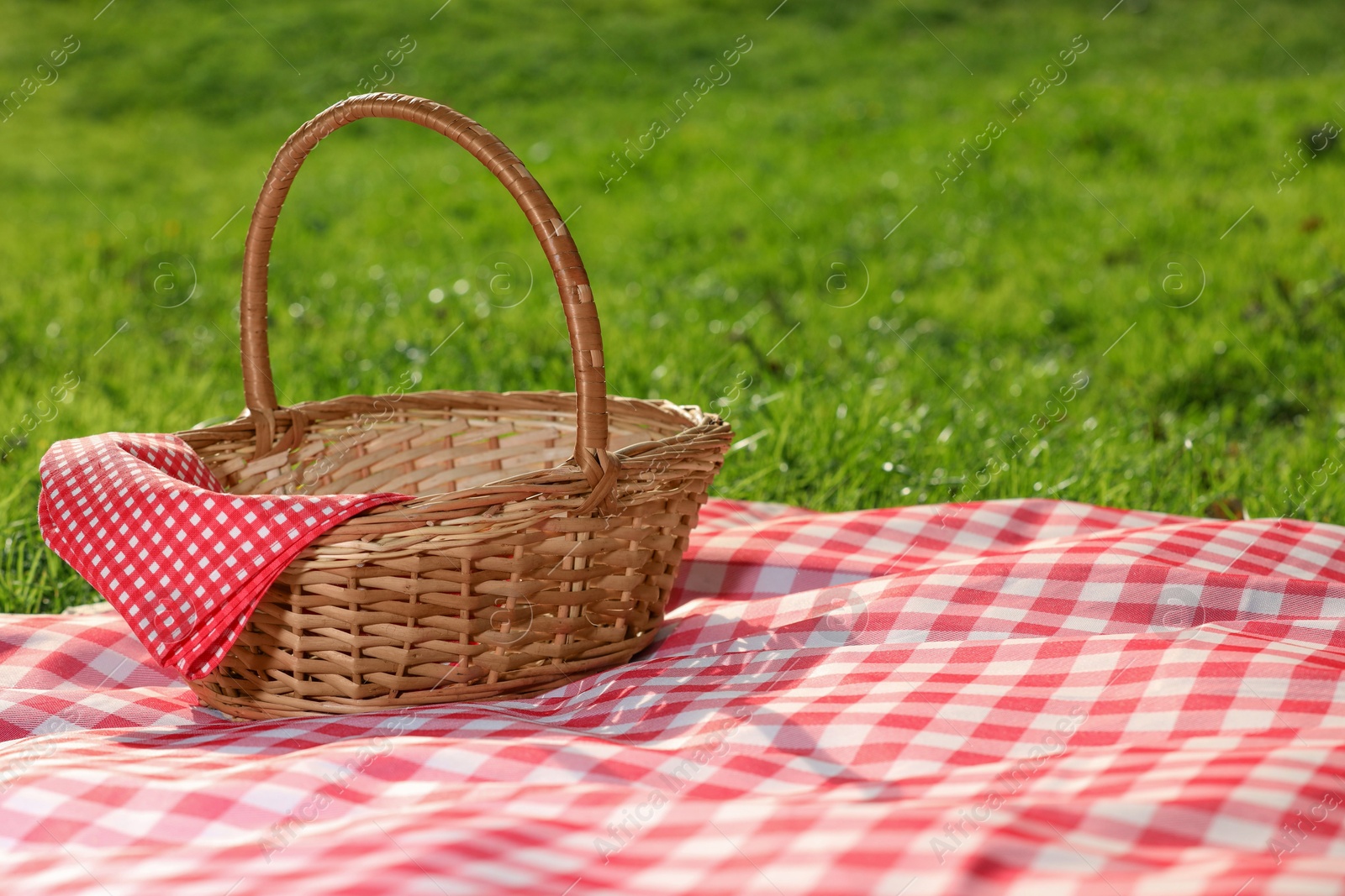 Photo of One picnic wicker basket with checkered napkin and blanket on green grass. Space for text