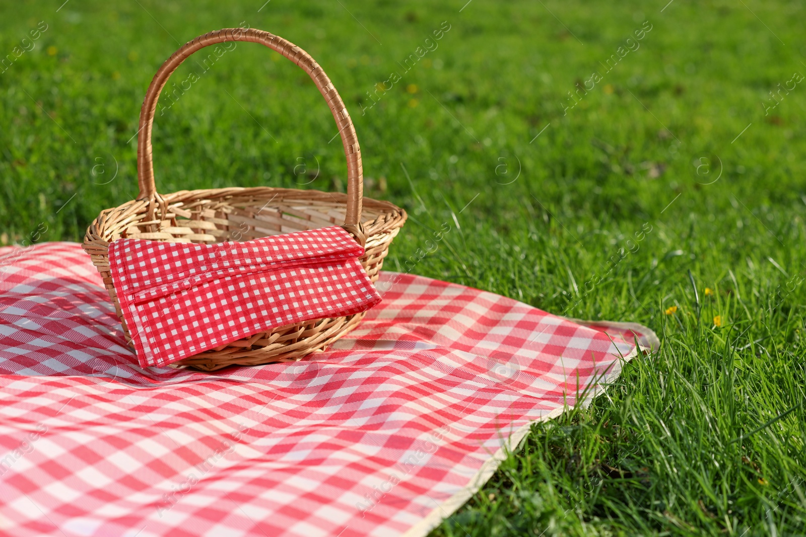 Photo of One picnic wicker basket with checkered napkin and blanket on green grass. Space for text