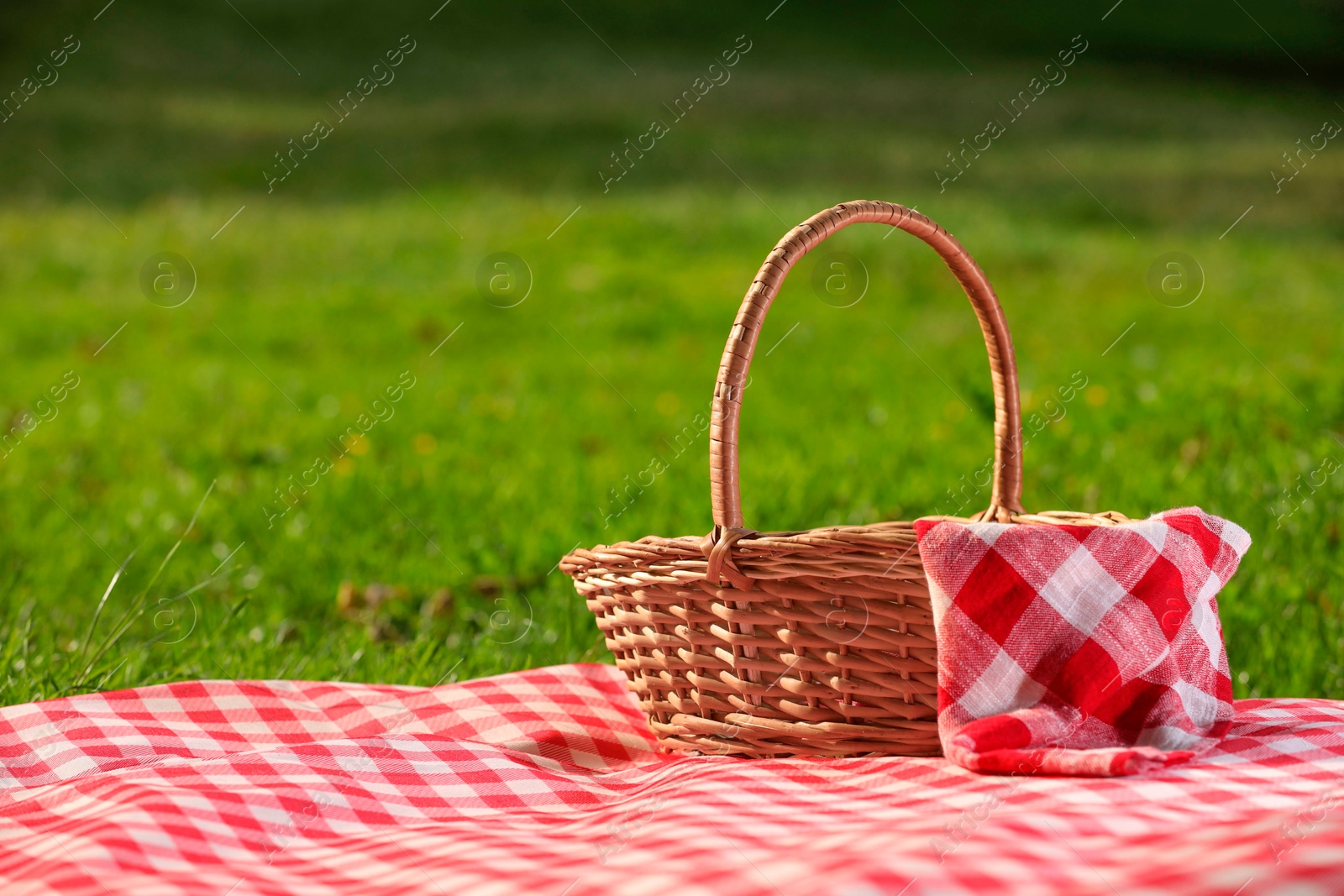 Photo of One picnic wicker basket with checkered napkin and blanket on green grass. Space for text