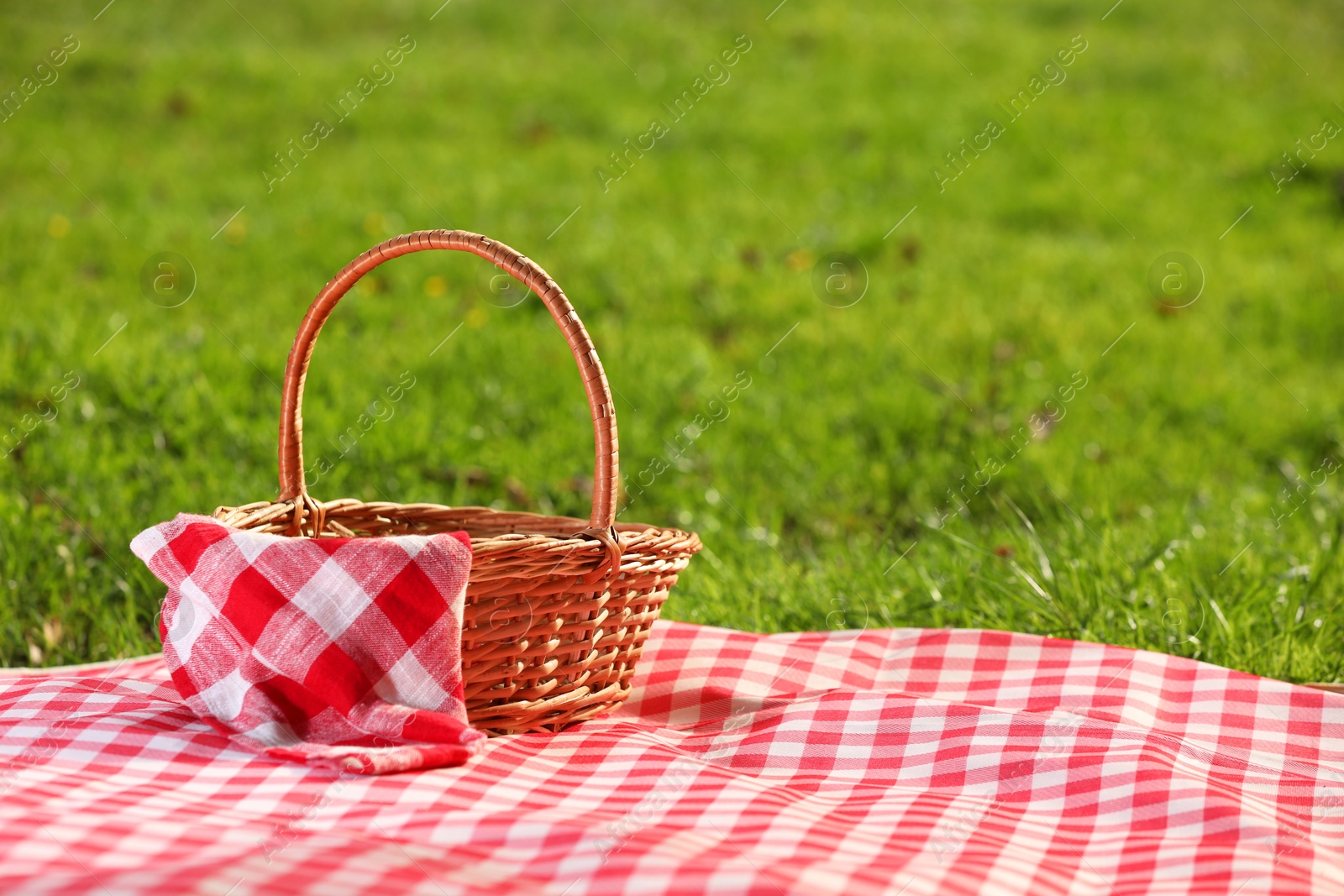 Photo of One picnic wicker basket with checkered napkin and blanket on green grass. Space for text