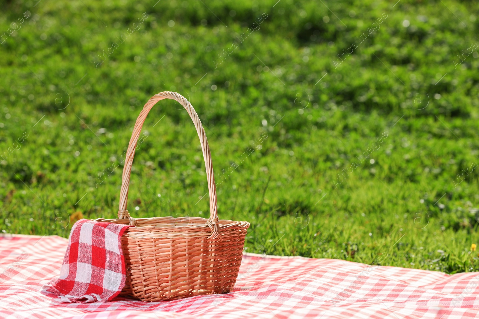 Photo of One picnic wicker basket with checkered napkin and blanket on green grass. Space for text