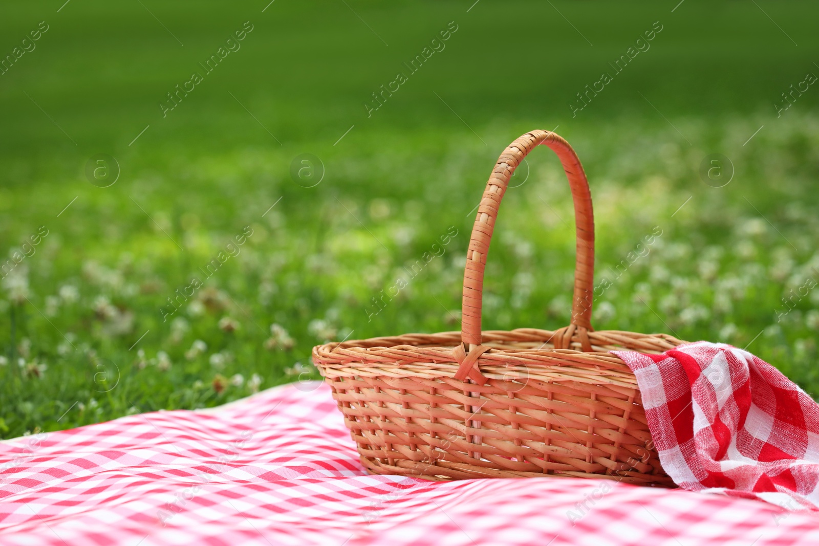 Photo of One picnic wicker basket with checkered napkin and blanket on green grass. Space for text