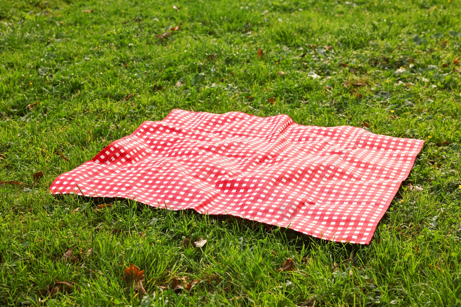 Photo of One checkered picnic tablecloth on green grass