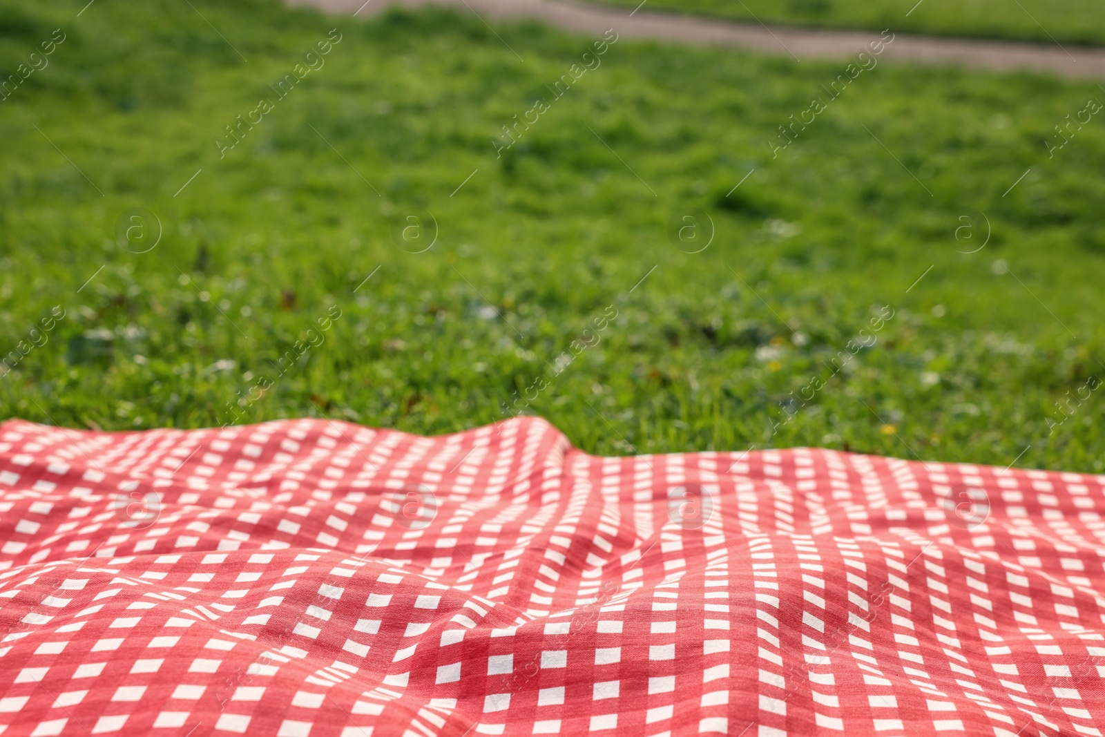 Checkered picnic tablecloth on green grass, closeup. Space for text Photo of Checkered picnic tablecloth on green grass, closeup. Space for text