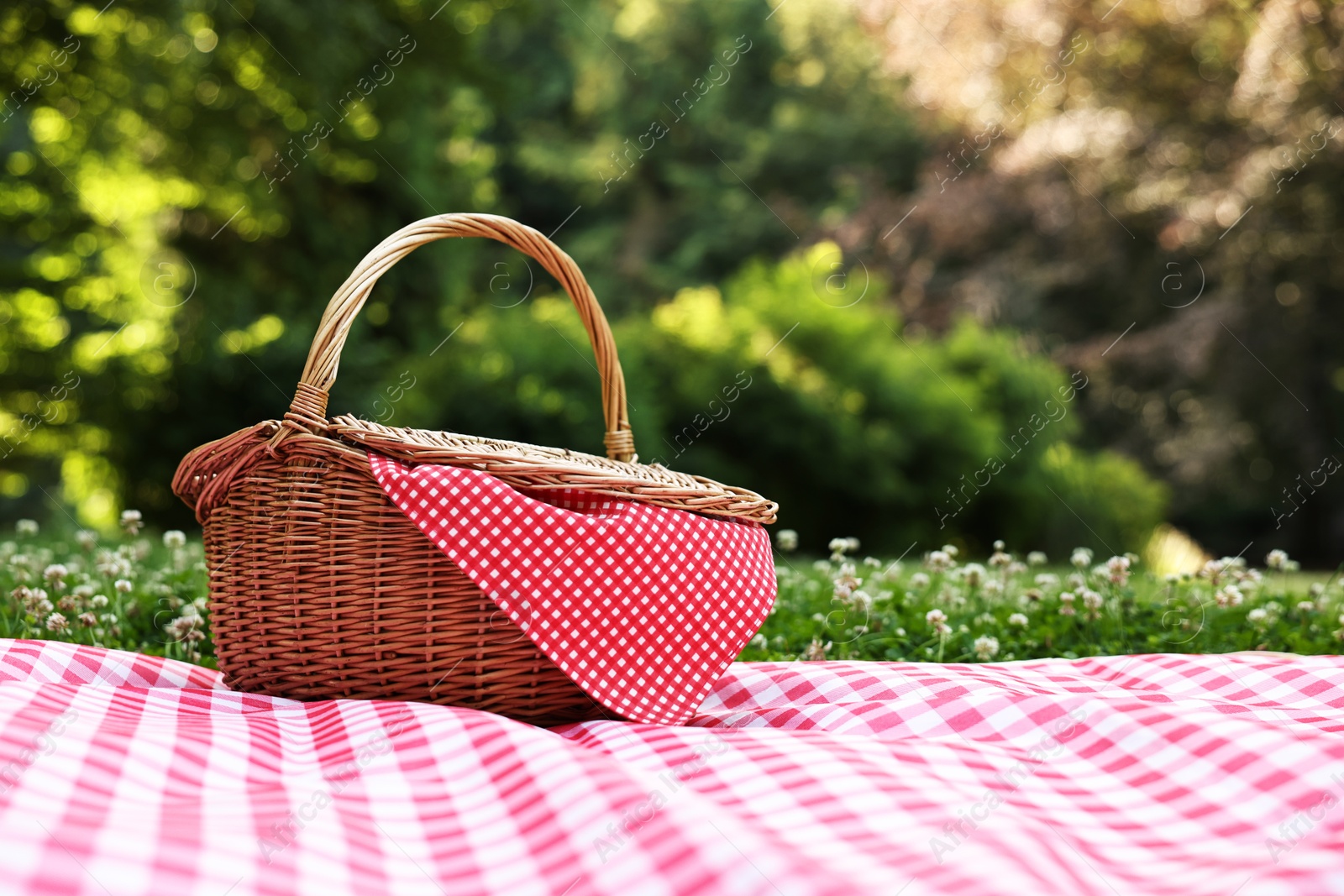 Photo of One picnic wicker basket with checkered napkin and blanket on green grass. Space for text