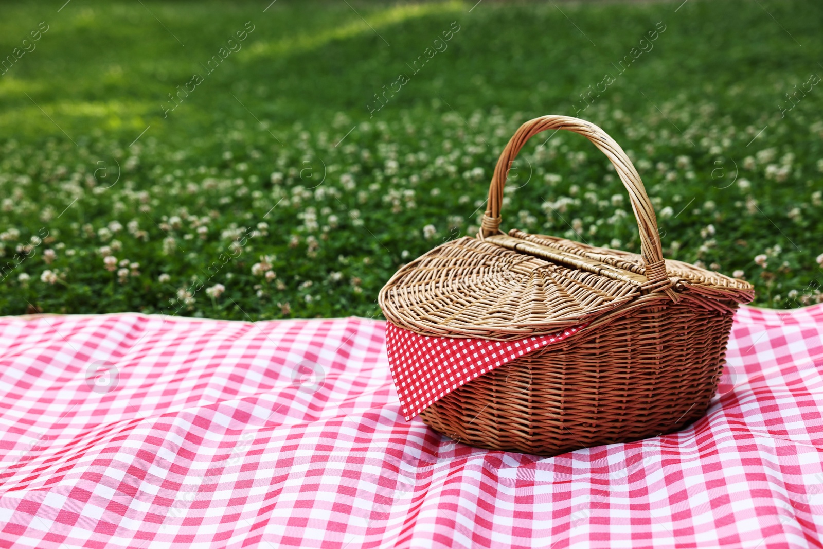 Photo of One picnic wicker basket with checkered napkin and blanket on green grass. Space for text