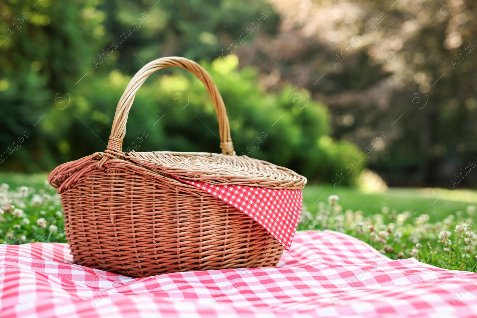 Photo of One picnic wicker basket with checkered napkin and blanket on green grass. Space for text