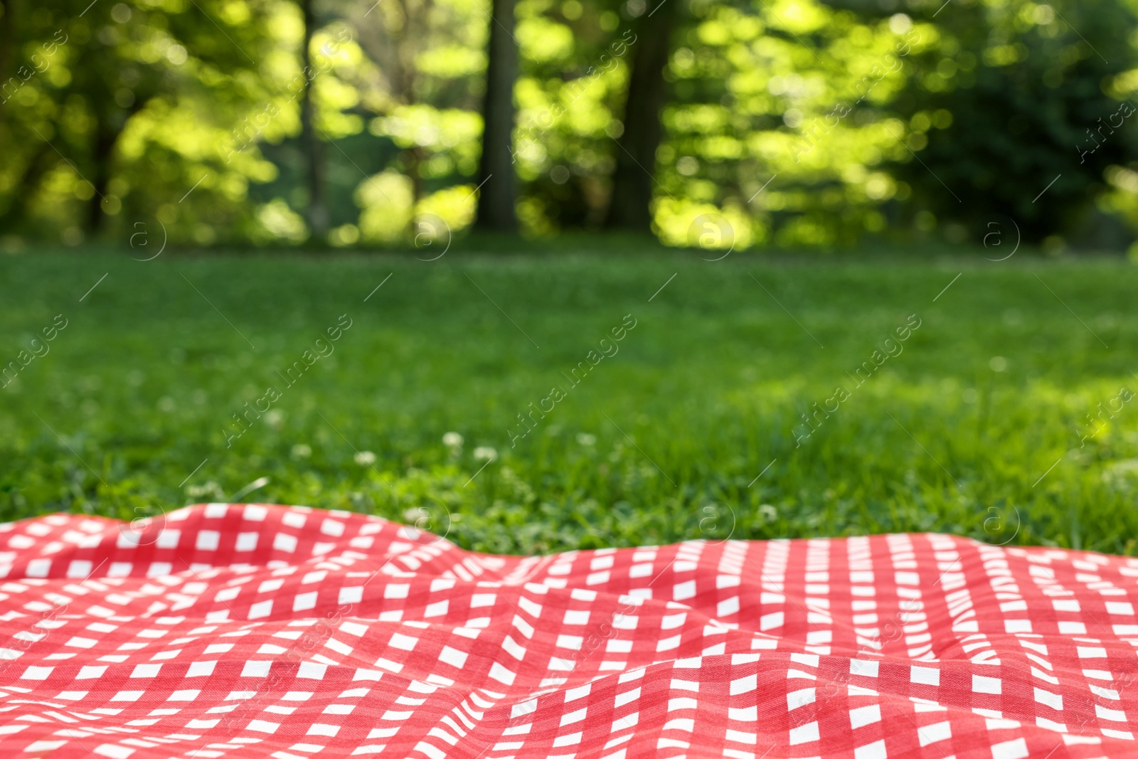 Checkered picnic tablecloth on green grass, closeup. Space for text Photo of Checkered picnic tablecloth on green grass, closeup. Space for text
