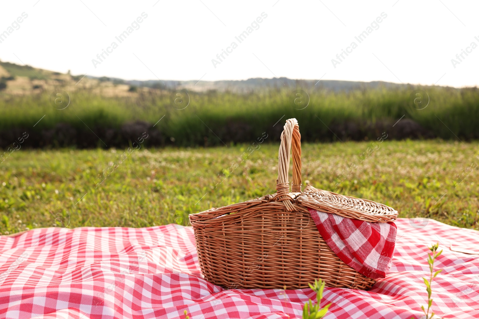 Photo of Picnic wicker basket with napkin and red checkered blanket on green grass outdoors, space for text