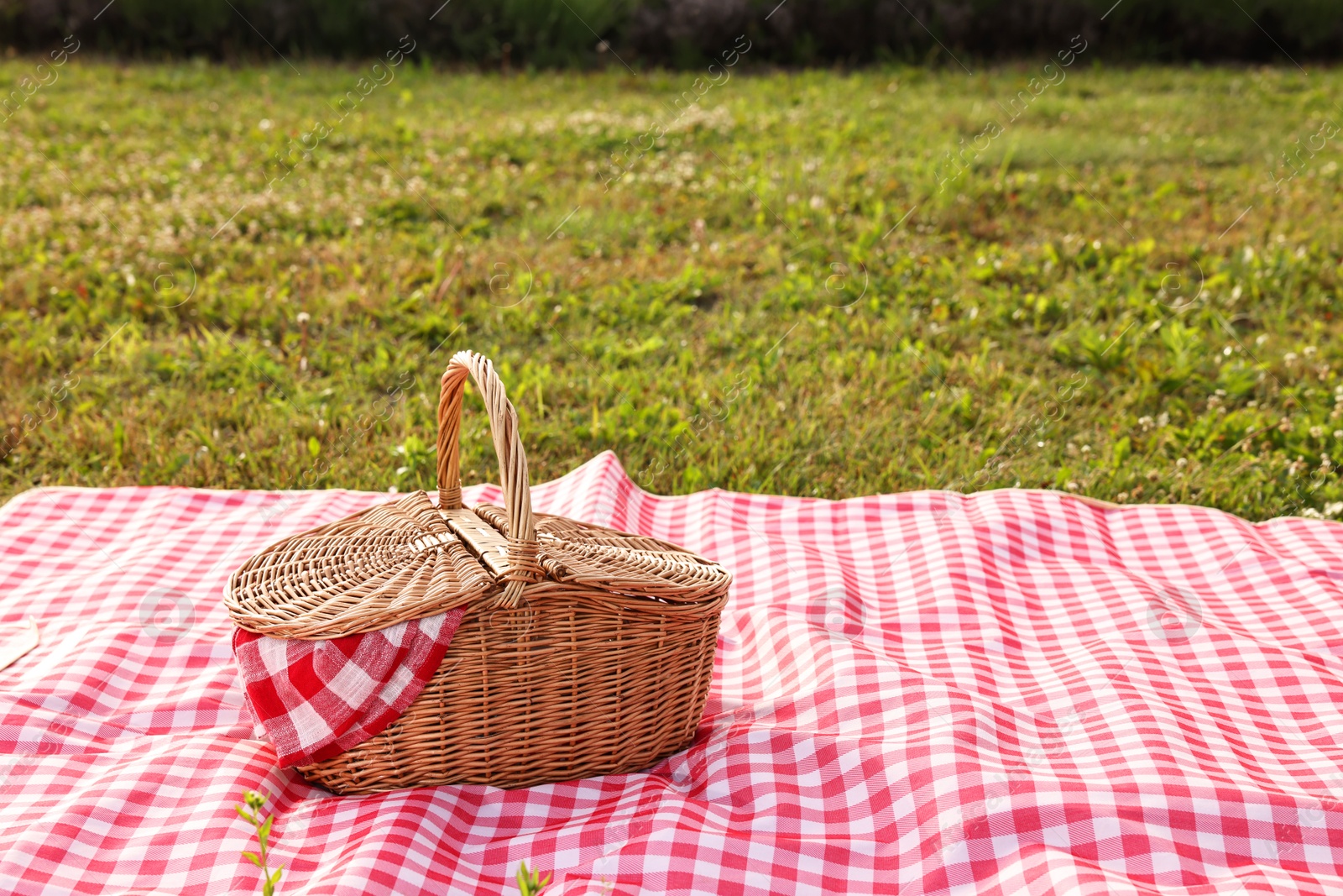 Photo of Picnic wicker basket with napkin and red checkered blanket on green grass outdoors, space for text