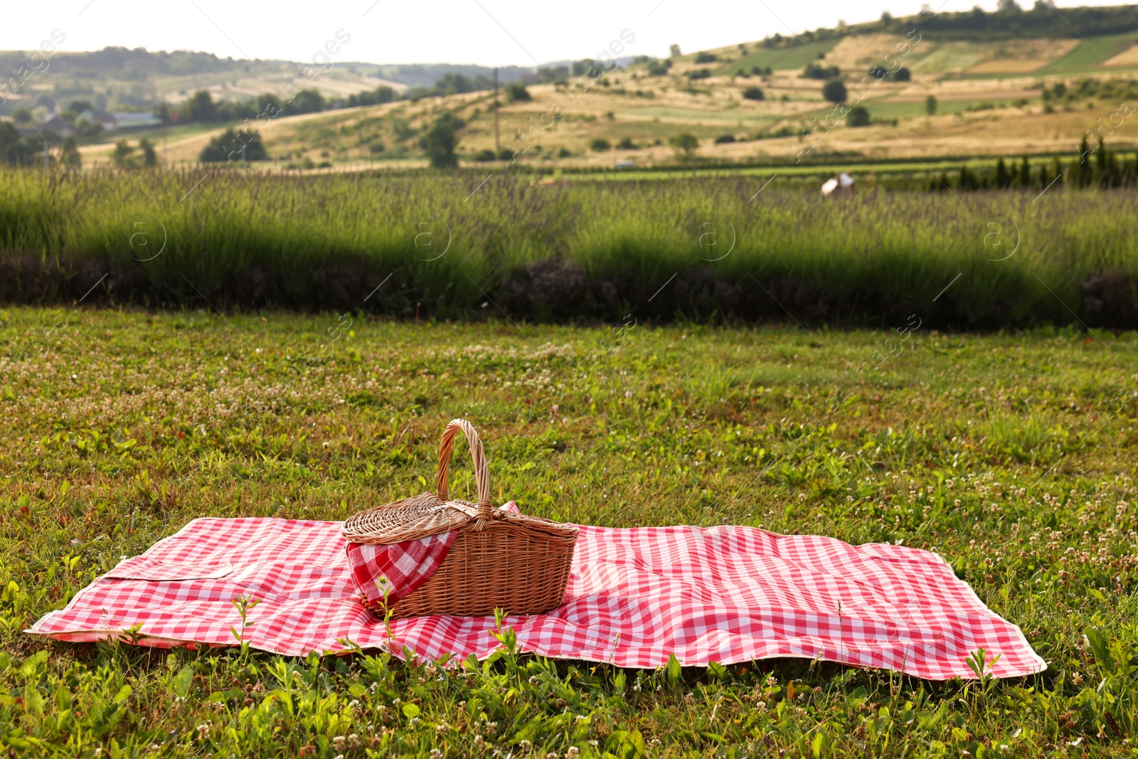 Photo of Picnic wicker basket with napkin and red checkered blanket on green grass outdoors