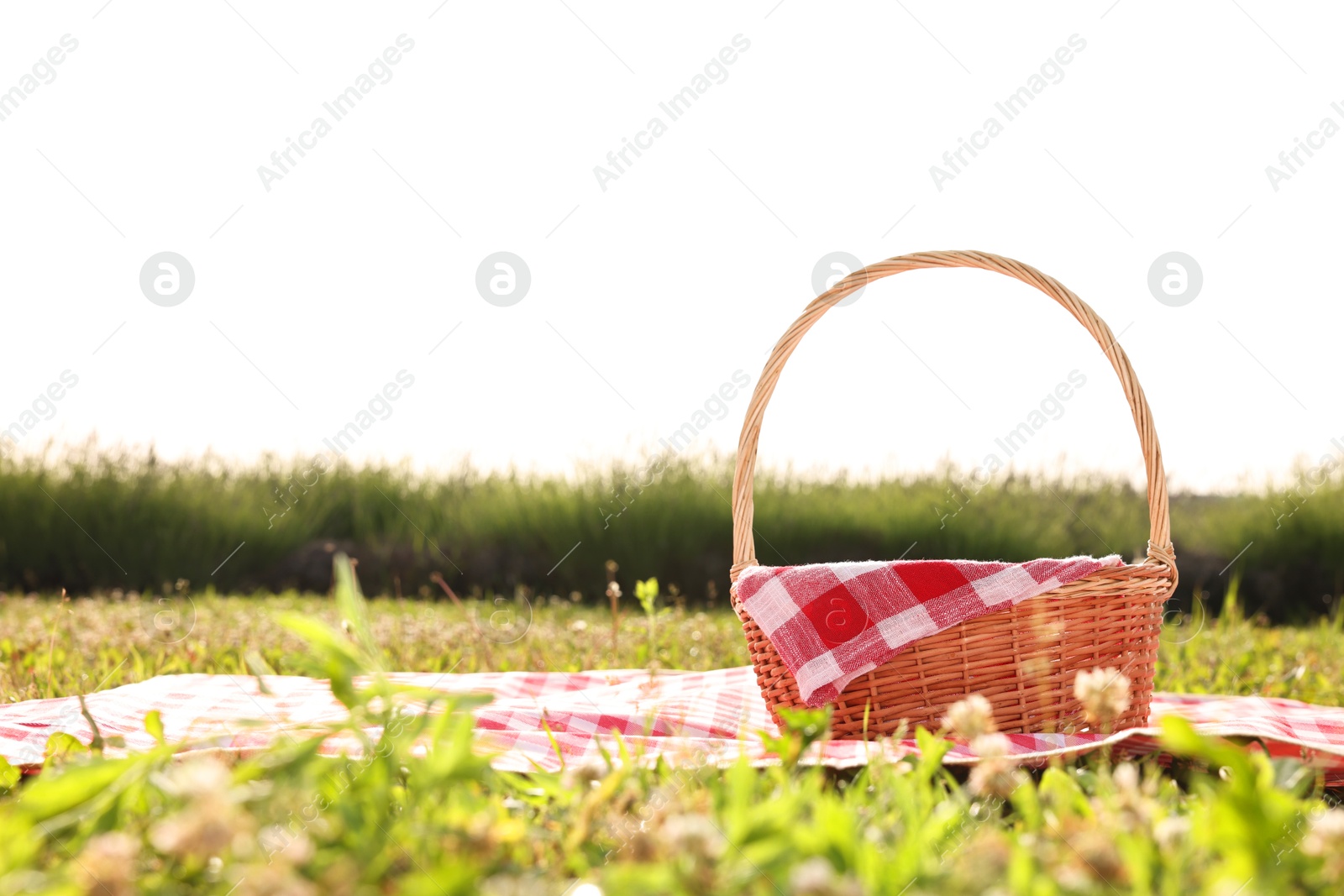 Photo of Picnic wicker basket with napkin and red checkered blanket on green grass outdoors, space for text