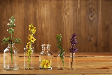 Different healing herbs in bottles on wooden table