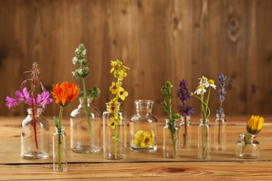 Different healing herbs in bottles on wooden table