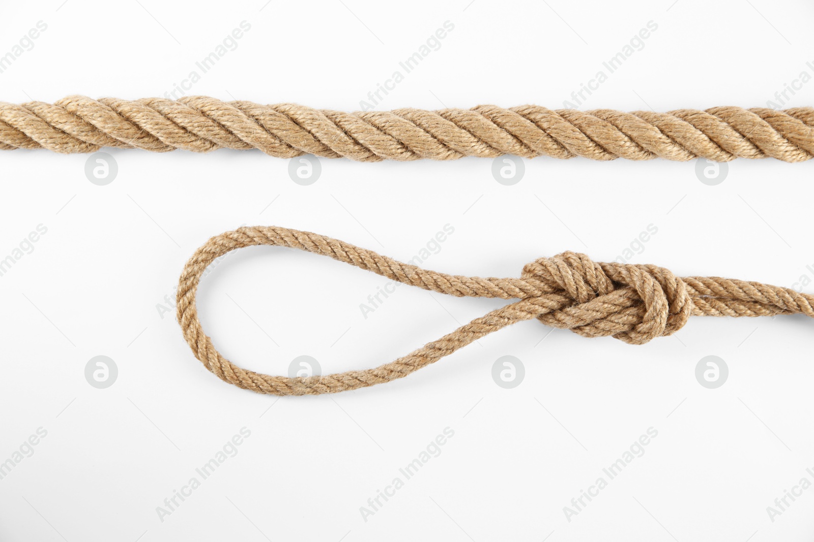 Photo of Hemp ropes on white background, top view