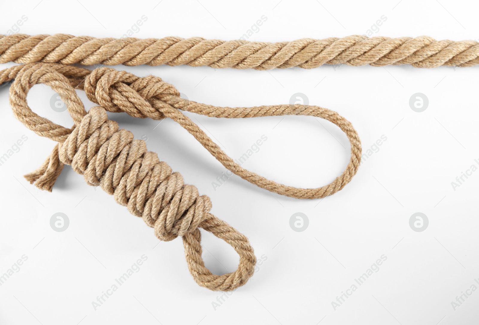 Photo of Hemp ropes on white background, top view