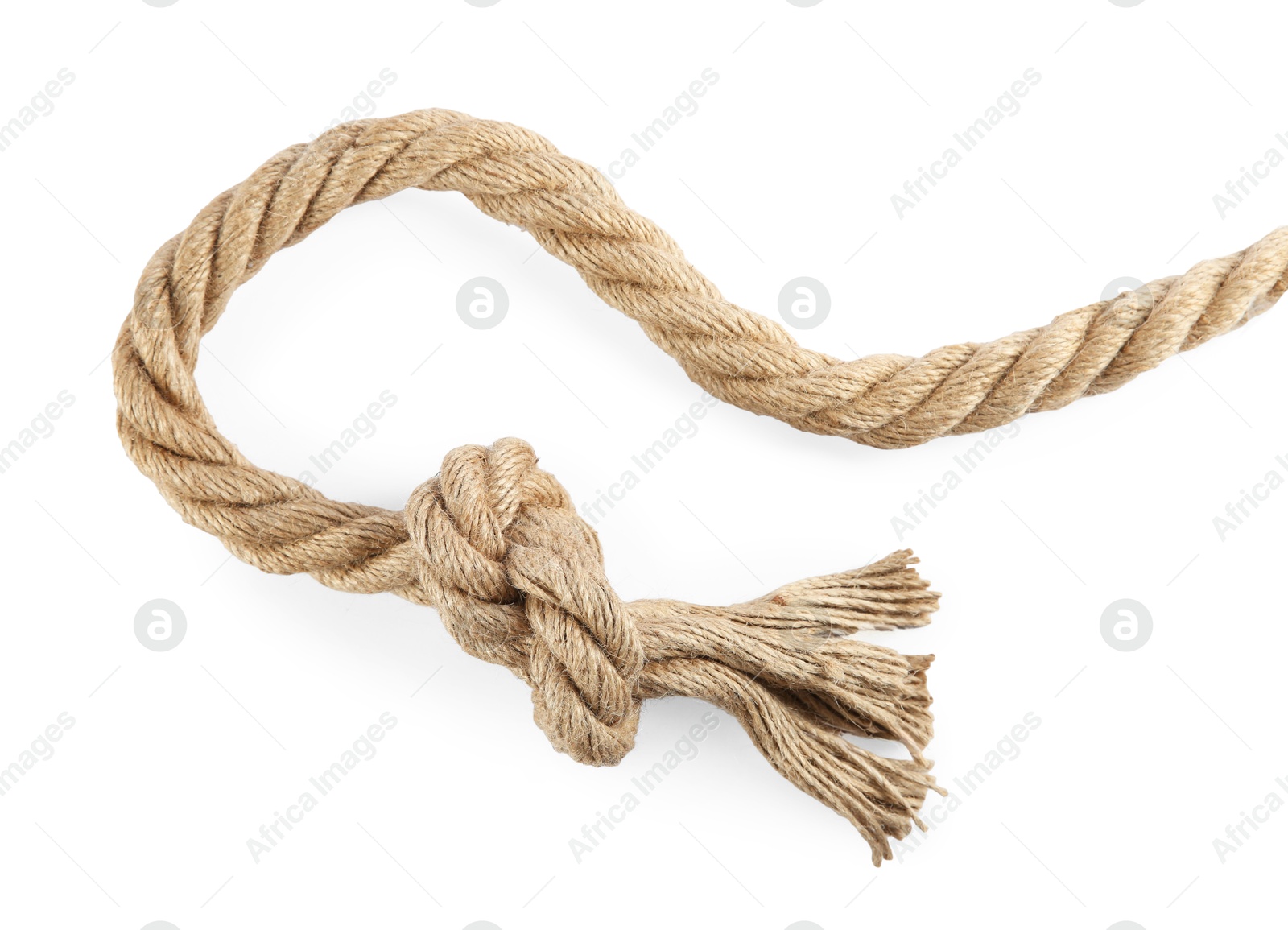 Photo of Hemp rope with knot isolated on white, top view