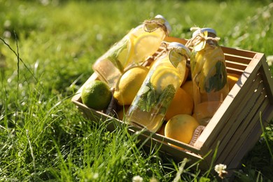 Refreshing lemonade with mint and fresh fruits in wooden crate on green grass outdoors