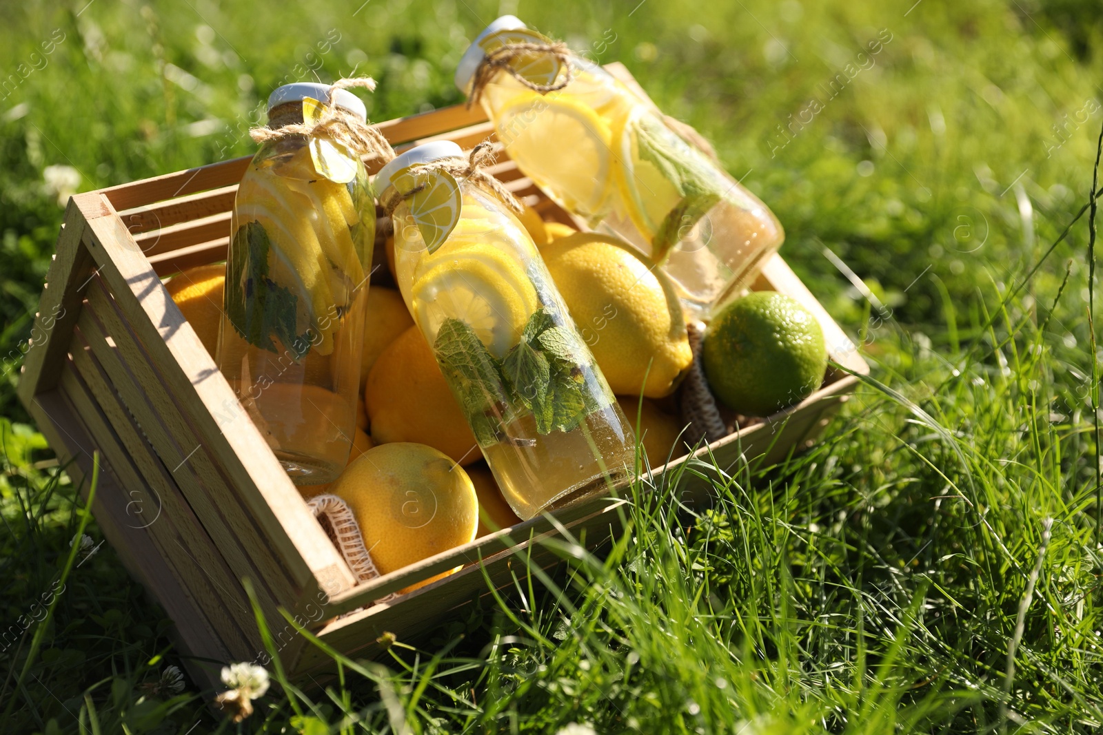 Photo of Refreshing lemonade with mint and fresh fruits in wooden crate on green grass outdoors