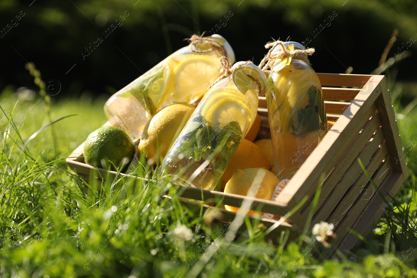 Photo of Refreshing lemonade with mint and fresh fruits in wooden crate on green grass outdoors