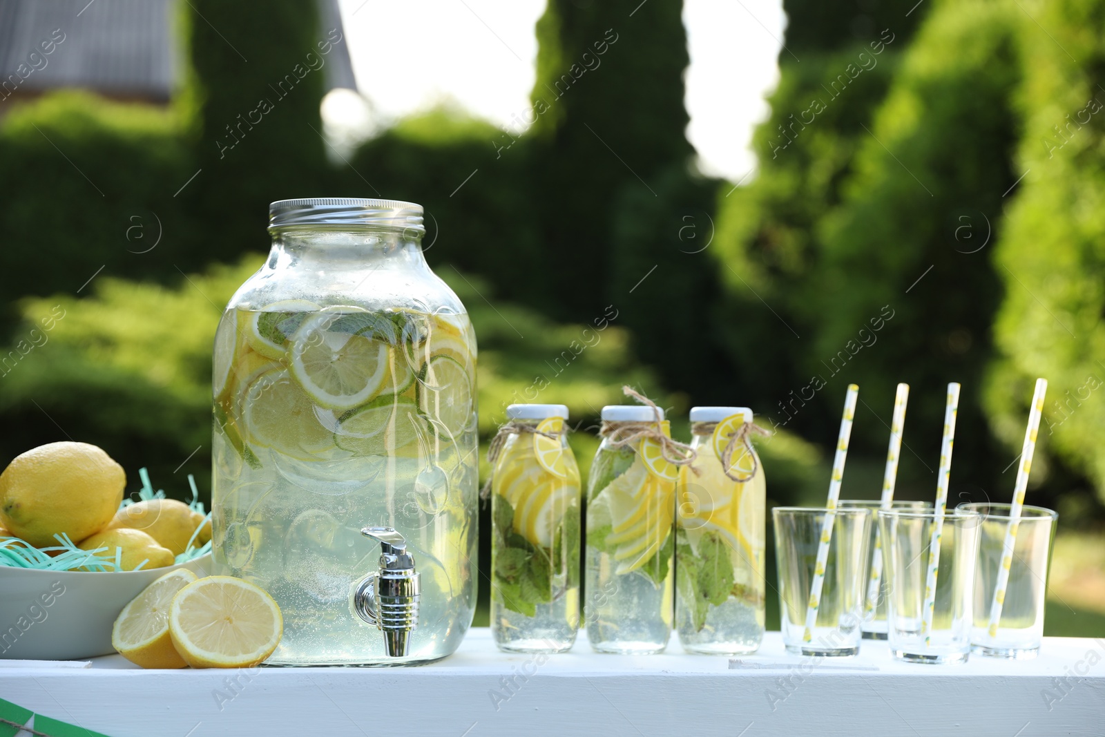 Photo of Lemonade stand with refreshing drink and fresh fruits in park