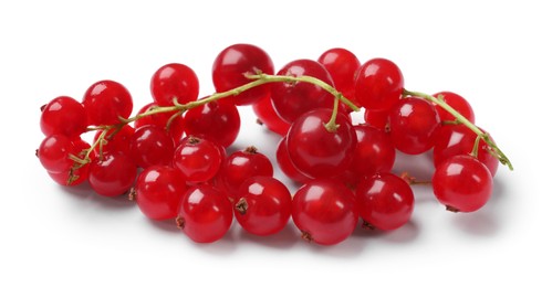 Photo of Fresh ripe red currants isolated on white