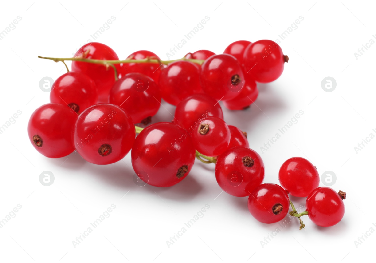 Photo of Fresh ripe red currants isolated on white