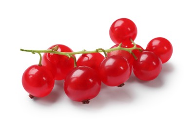 Photo of Fresh ripe red currants isolated on white