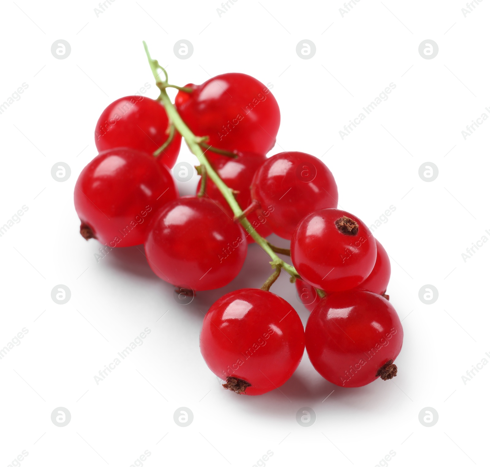 Photo of Fresh ripe red currants isolated on white