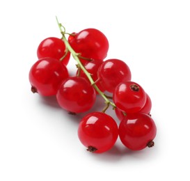 Photo of Fresh ripe red currants isolated on white