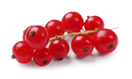 Photo of Fresh ripe red currants isolated on white