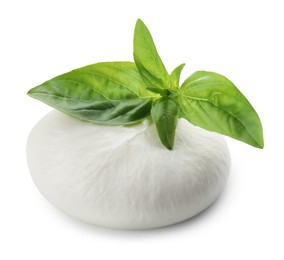 Photo of Delicious burrata cheese and basil isolated on white