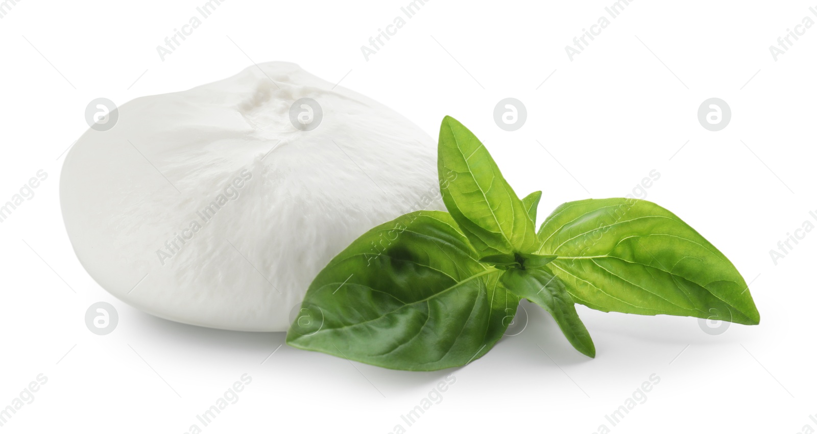 Photo of Delicious burrata cheese and basil isolated on white