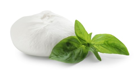 Photo of Delicious burrata cheese and basil isolated on white