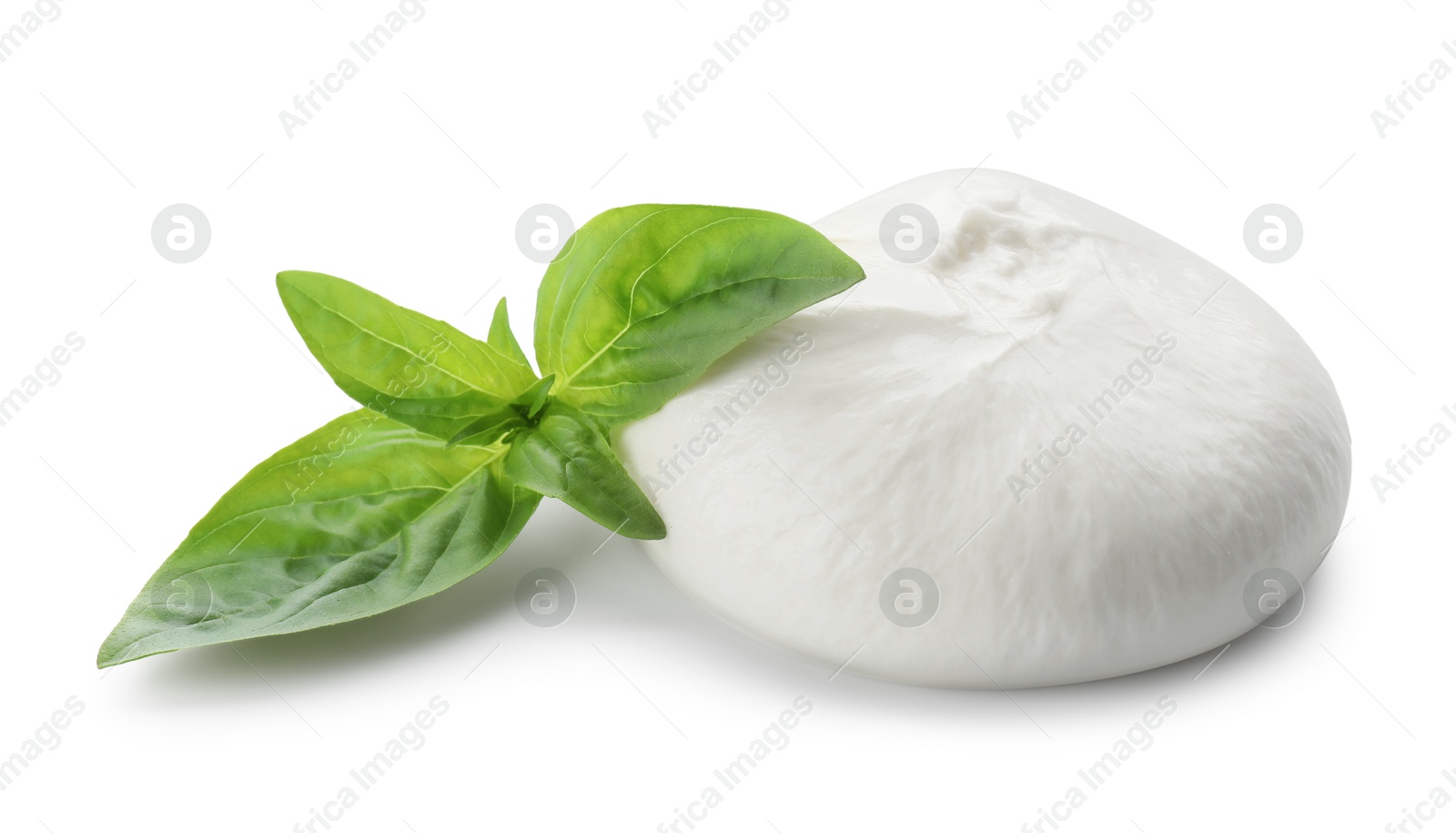 Photo of Delicious burrata cheese and basil isolated on white