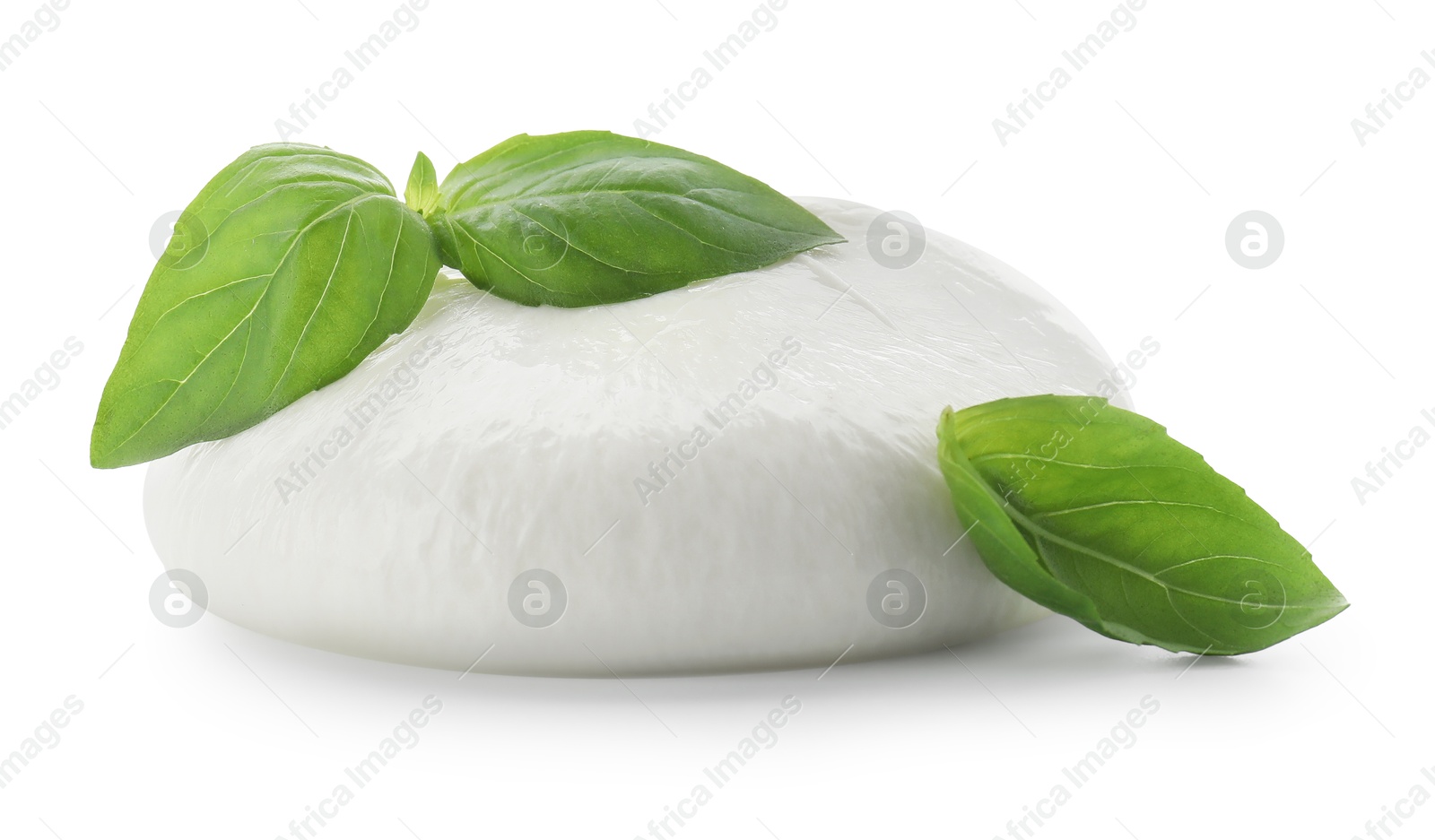 Photo of Delicious burrata cheese and basil isolated on white