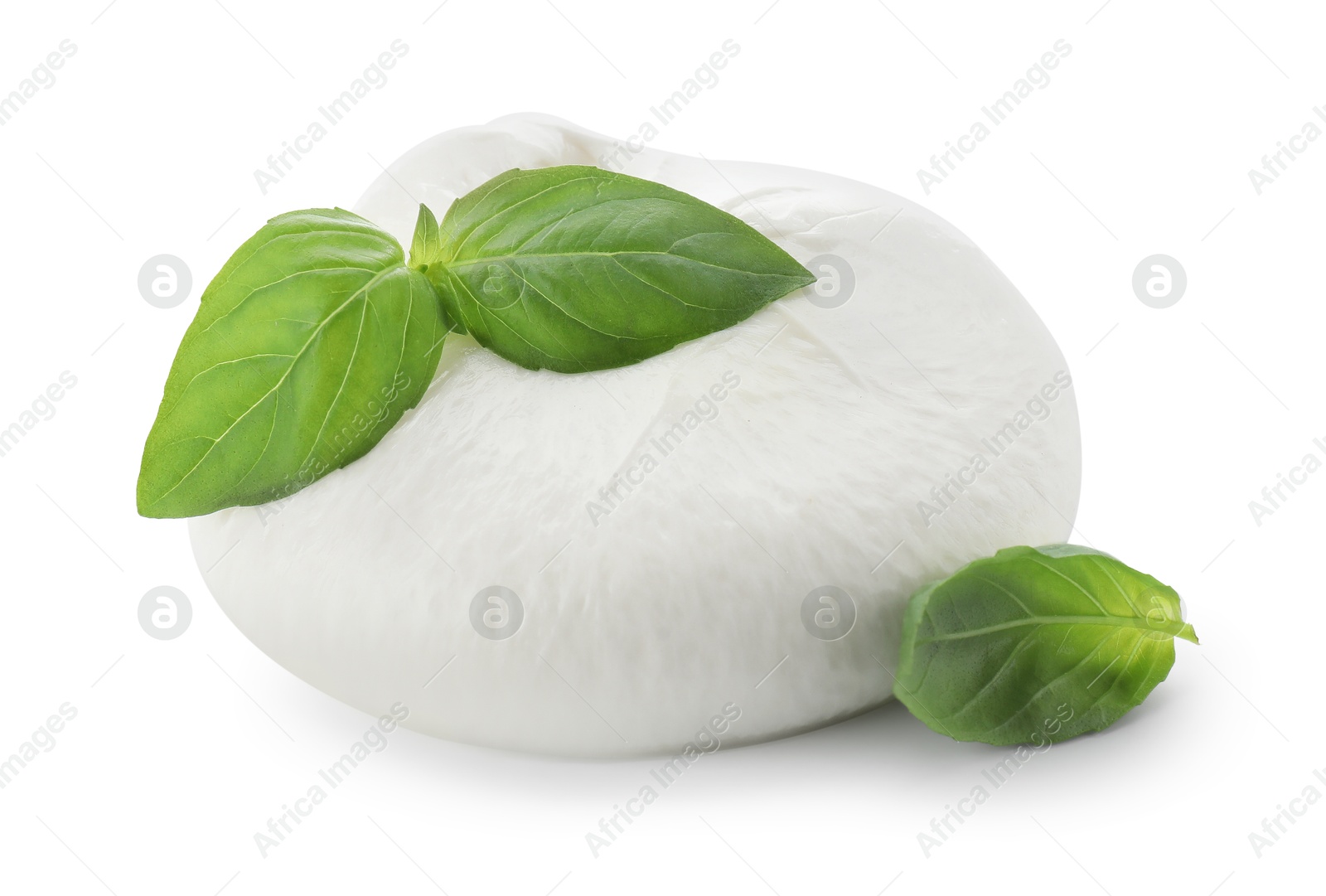 Photo of Delicious burrata cheese and basil isolated on white