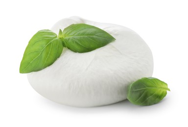 Photo of Delicious burrata cheese and basil isolated on white