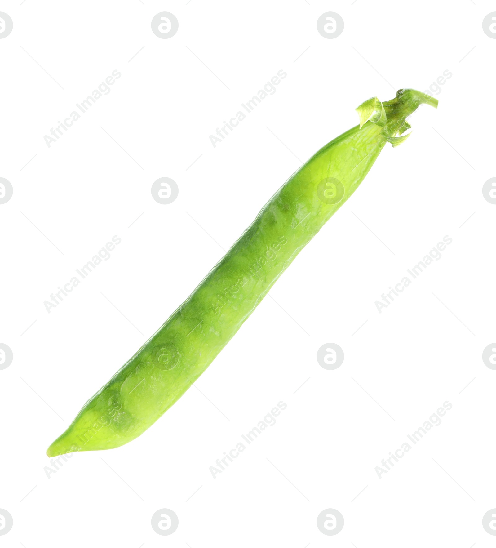 Photo of One green fresh pea pod isolated on white