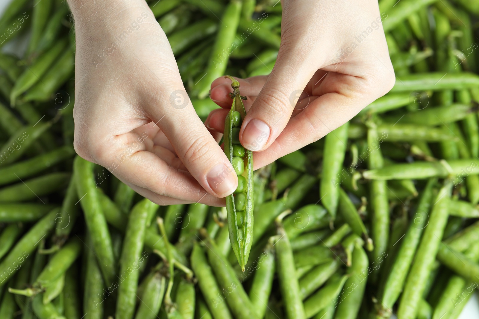 Photo of Woman opening fresh green pea pods, top view