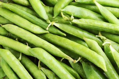 Many fresh green pods as background, closeup