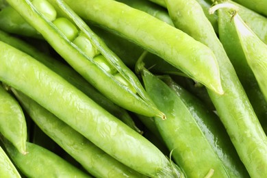 Photo of Many fresh green pods as background, closeup