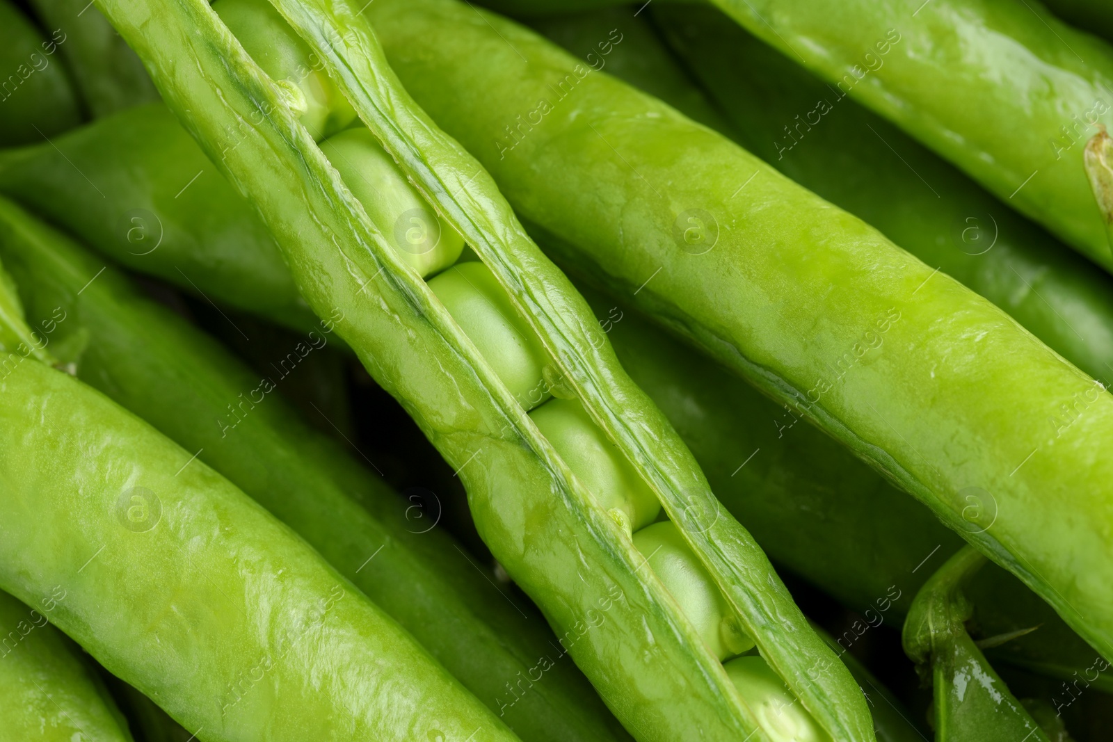 Photo of Many fresh green pods as background, closeup