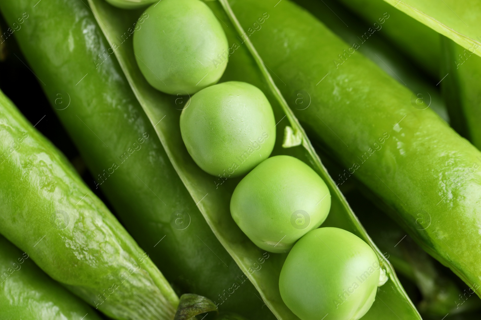 Photo of Many fresh green pods and peas as background, closeup