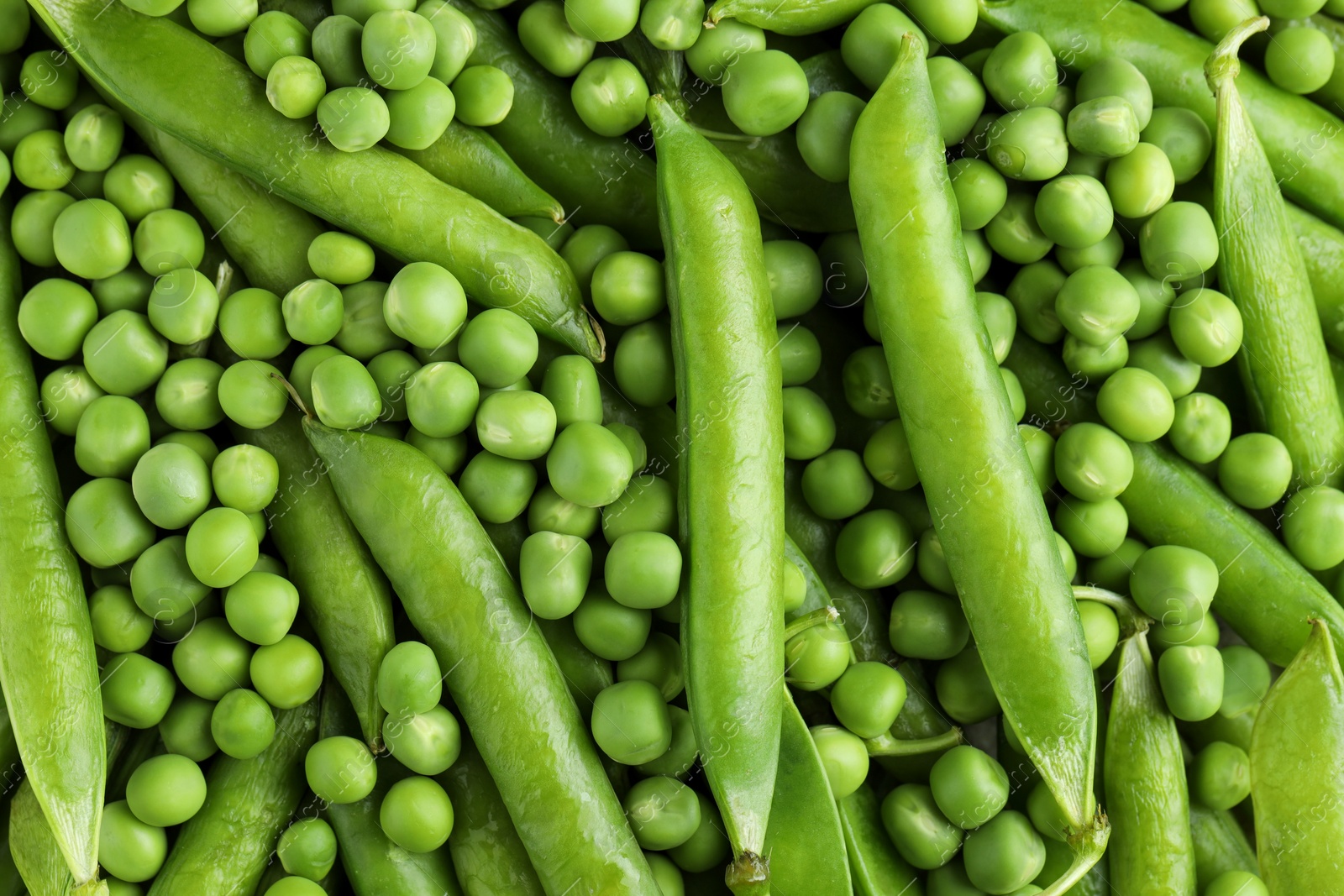 Photo of Many fresh green pods and peas as background, closeup