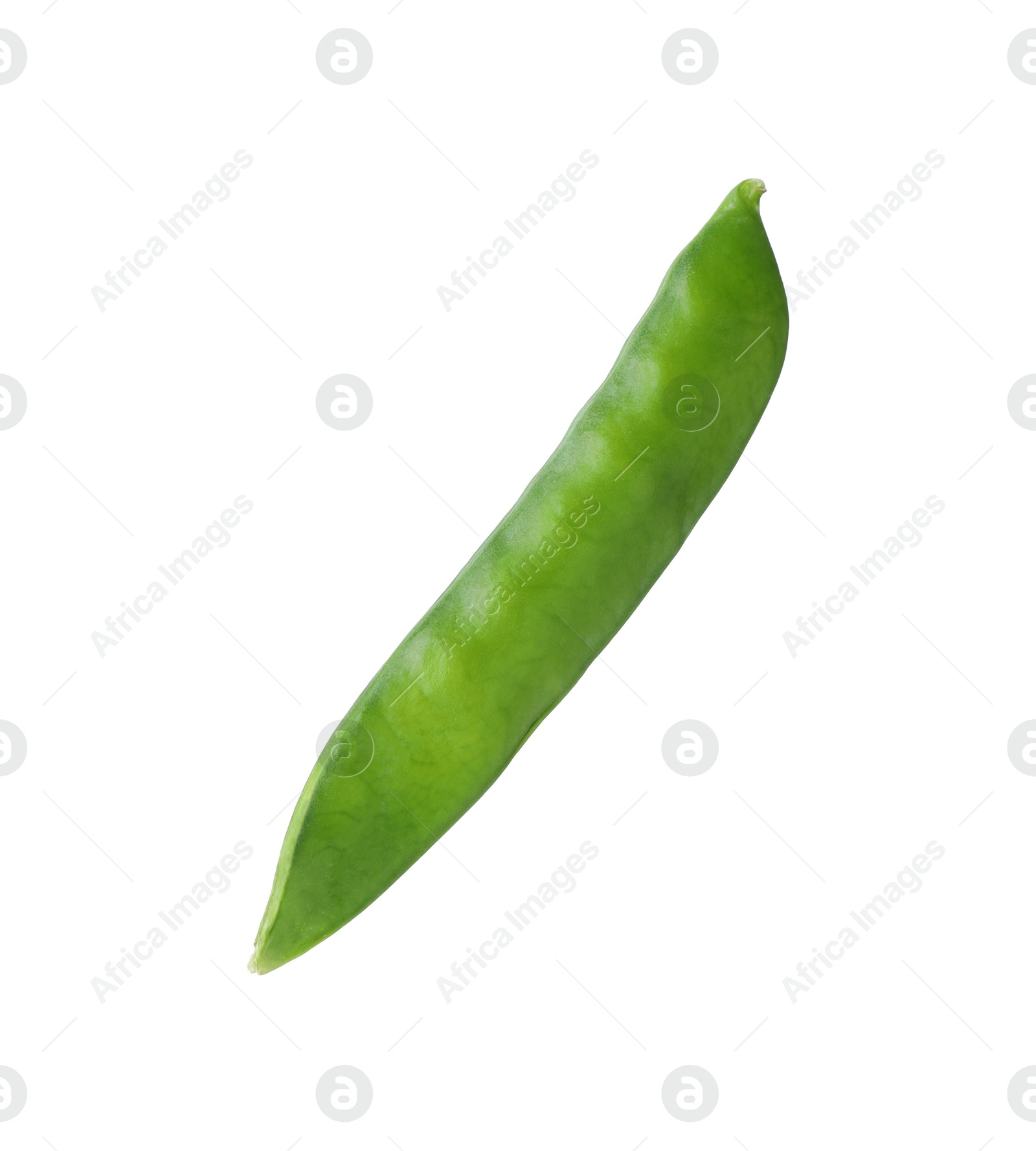 Photo of One green fresh pea pod isolated on white